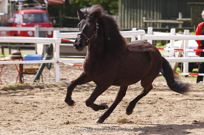 Alvar fra Stora Hofi (5).JPG